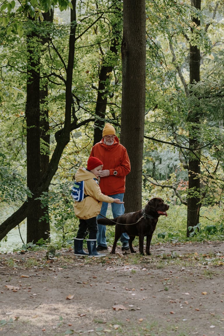 A father and child enjoy a walk with their dog in a peaceful forest setting.