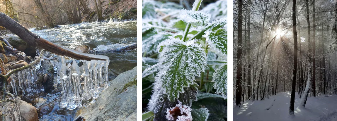Collage Winter im Hunsrück