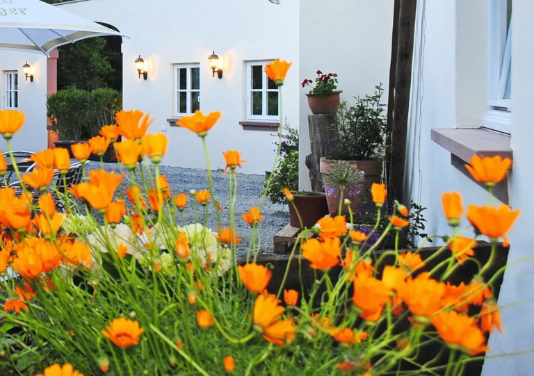 Innenhof Landhaus Gräfendhron