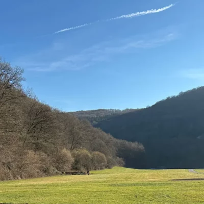 Wiese im Hunsrück